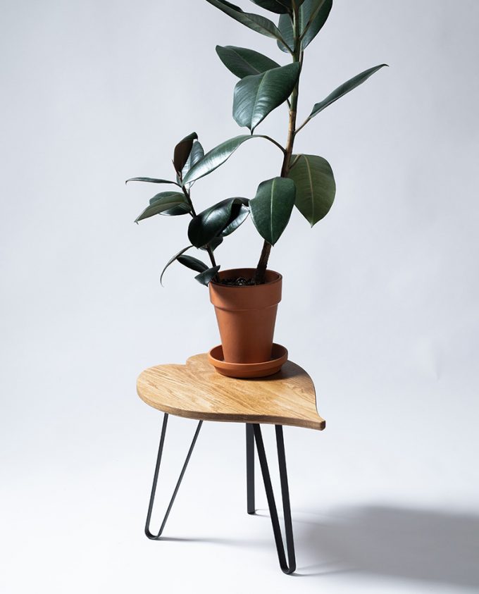 Ruwdesign-Bijzettafel-Bladtafel-Philodendron scandens