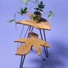 Ruwdesign-Bladtafel-Bijzettafel-Syngonium Podophyllum-Set