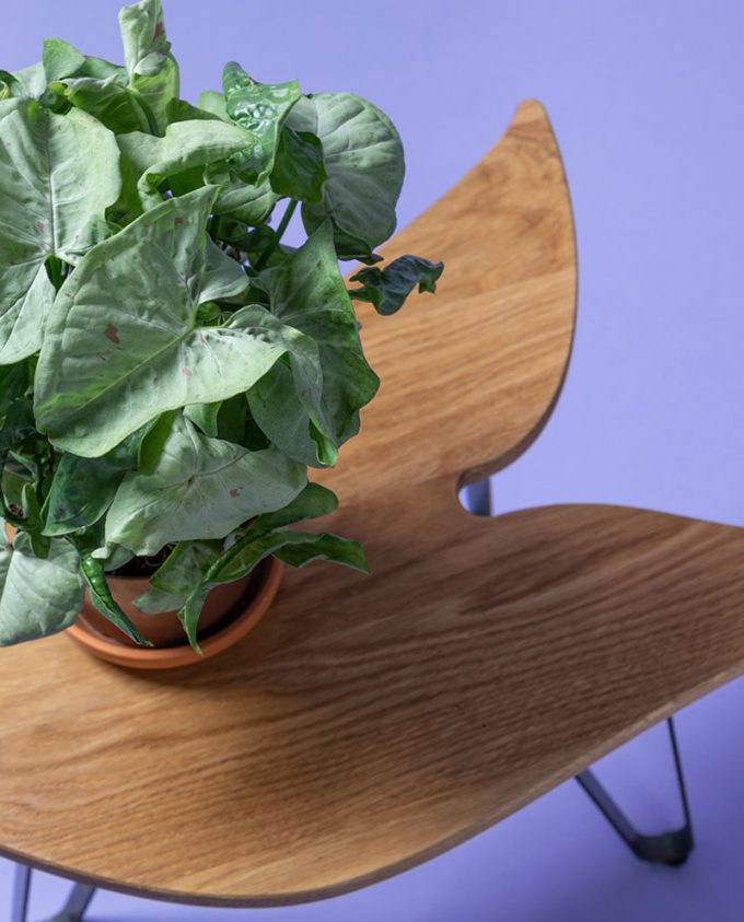 Ruwdesign-End Table-Plant Stand-Syngonium Podophyllum-Close-up