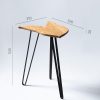 Ruwdesign-End Table- Syngonium Podophyllum-Dimensions-High
