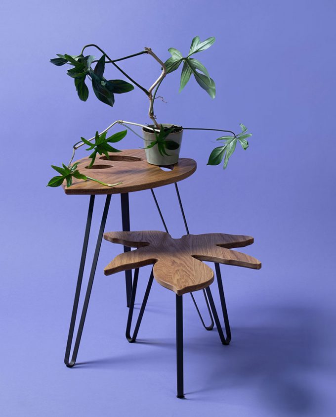 Ruwdesign-Leaf-Table-Philodendron-Pedatum-Hoya-Set