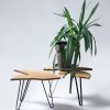 Ruwdesign-Leaf Table -Syngonium Podophyllum-Set