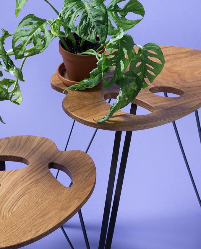 Ruwdesign-Monstera-Adasonii-Plant-2Tables-Close-up