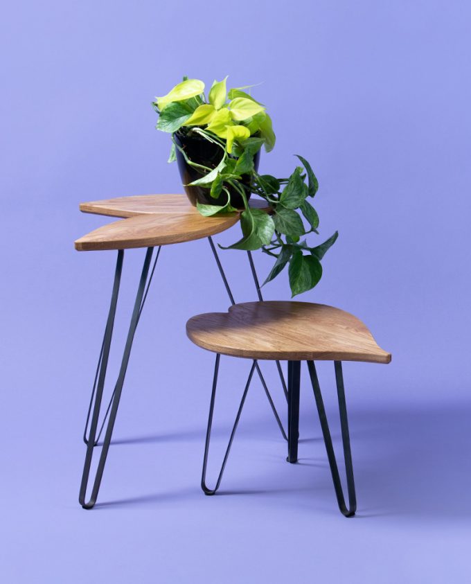 Ruwdesign-Plant-Stand-Leaf-shaped-Table-Philodendron scandens-Hoya-Set