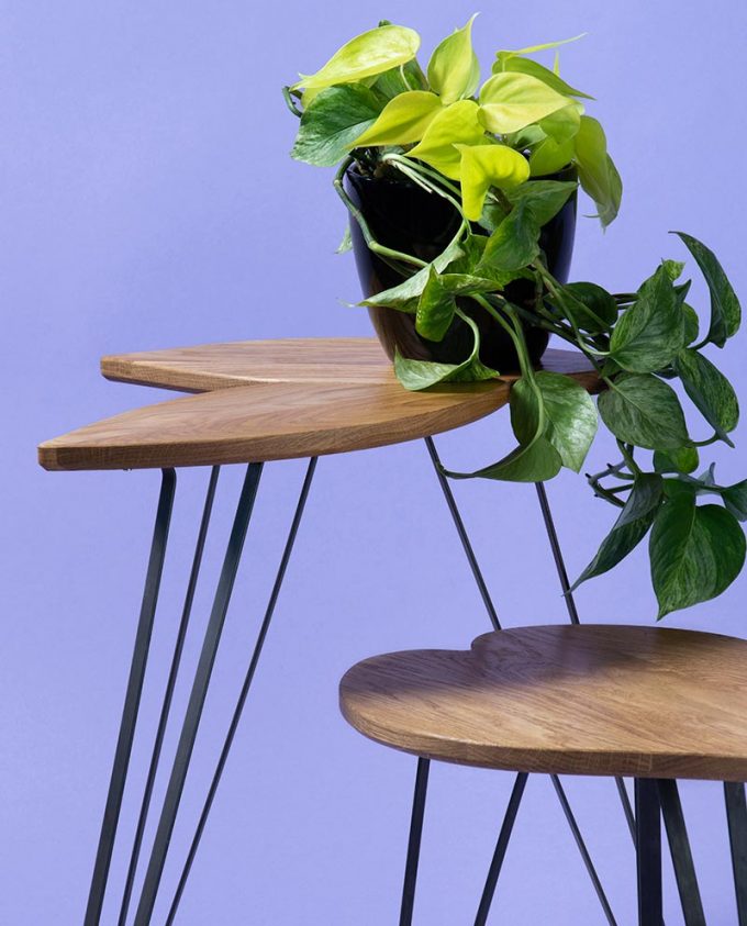 Ruwdesign-Plant Table-Hoya-Carnosa-Close-up