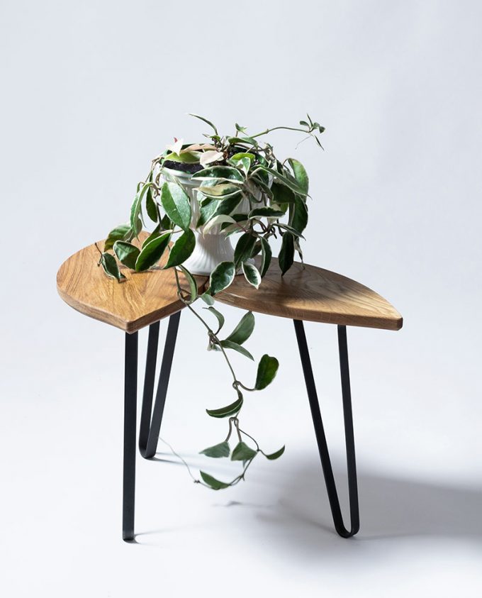 Ruwdesign-Plant Table-Hoya-Carnosa-with Plant-End -Table - oak