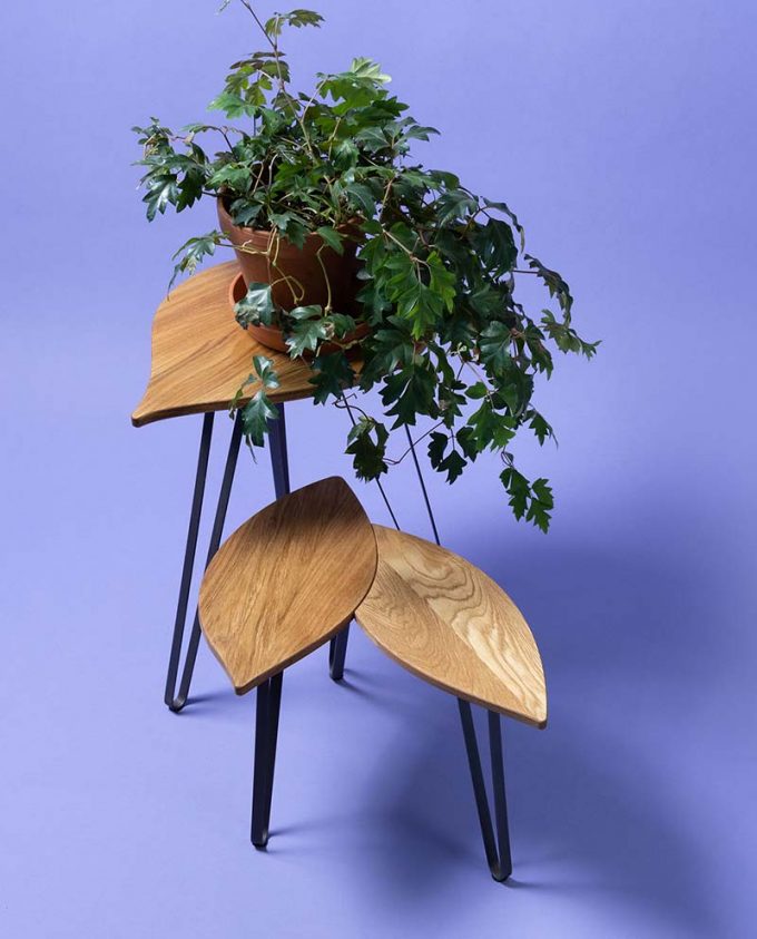 ruwdesign-leaf-table-set-hoya-plant-stand