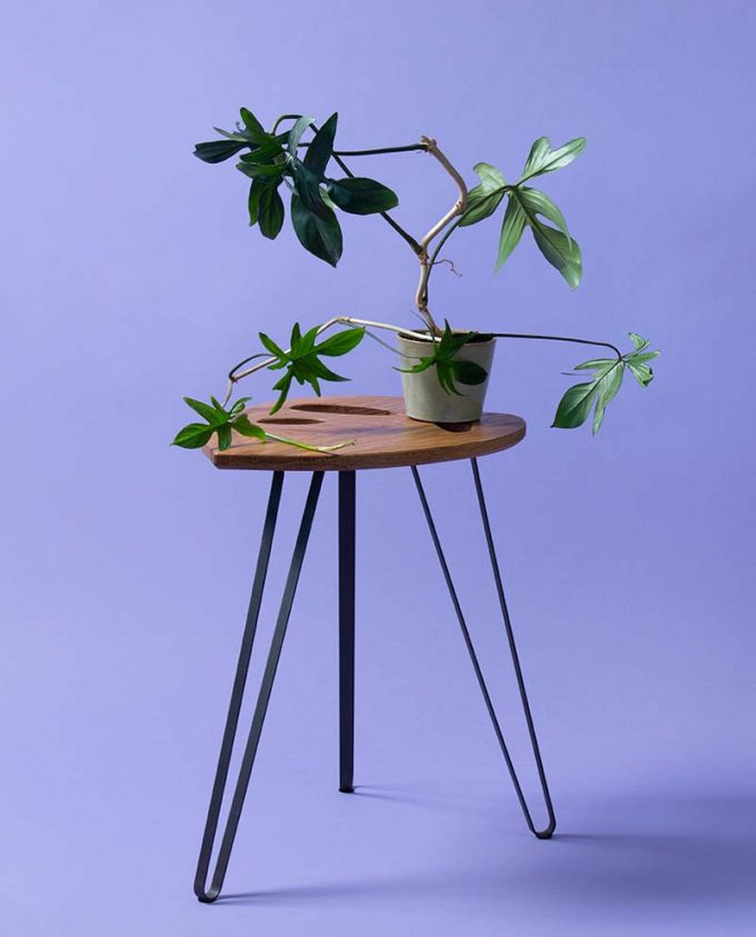ruwdesign-plant-table-monstera-tall