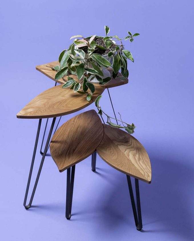 ruwdesign-plant-table-set-hoya-plant-stand